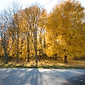 Scenery Montville Duchek 2127-2